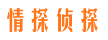 泸定市婚外情调查